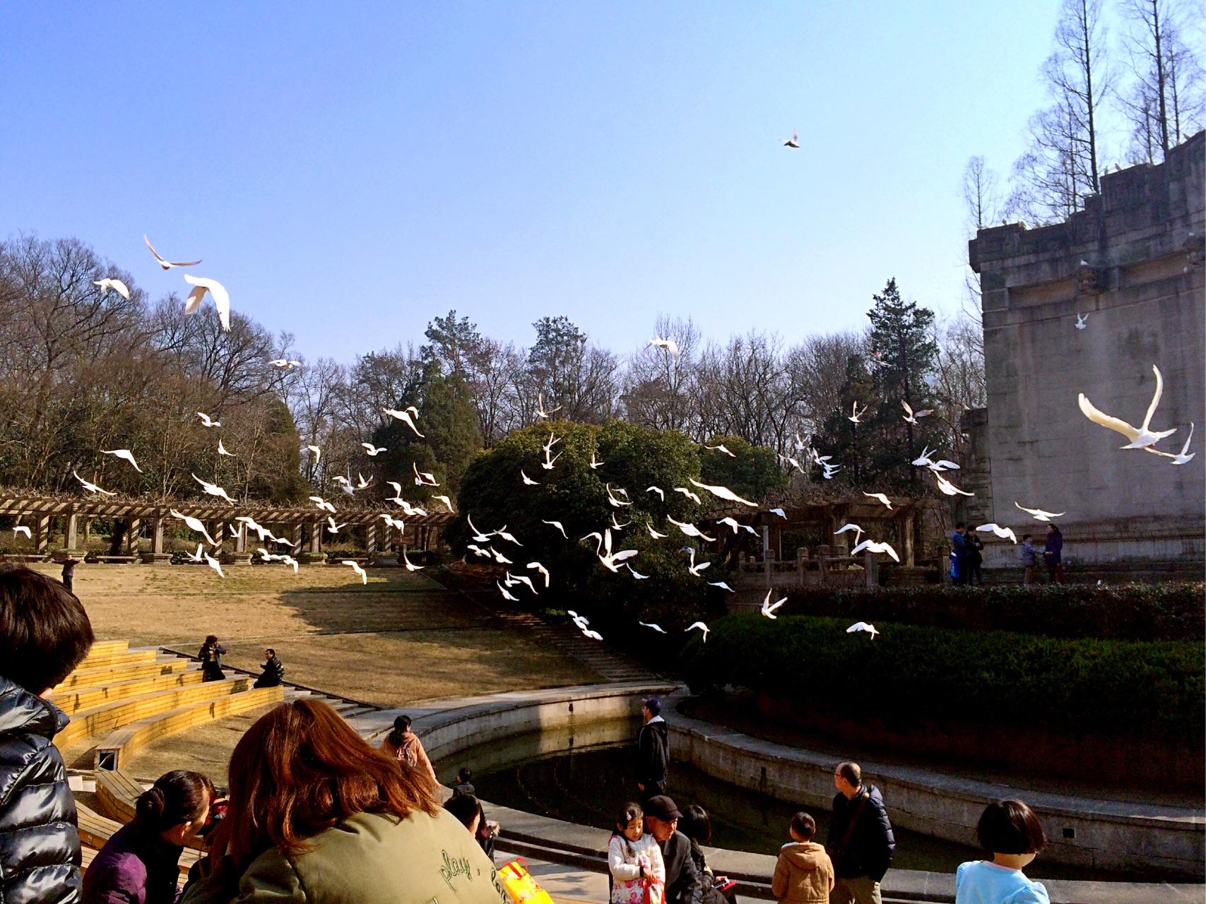 南京有哪些适合一个人玩的地方?