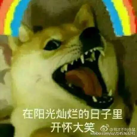 高二想要在新的班级里竞选班干部,怎么选择?