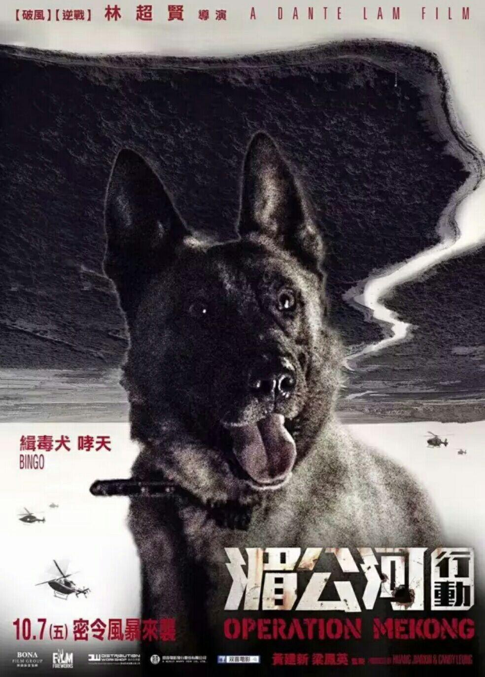 如何评价湄公河行动中哮天的演技