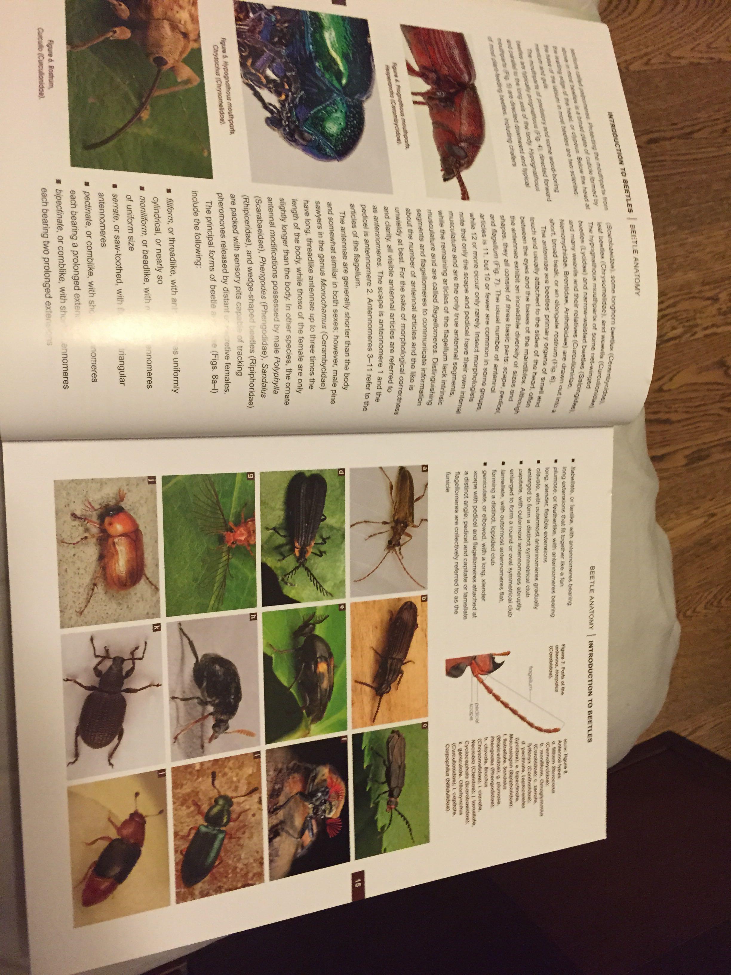 想入一本关于昆虫的书,求推荐,下面详解(真心急