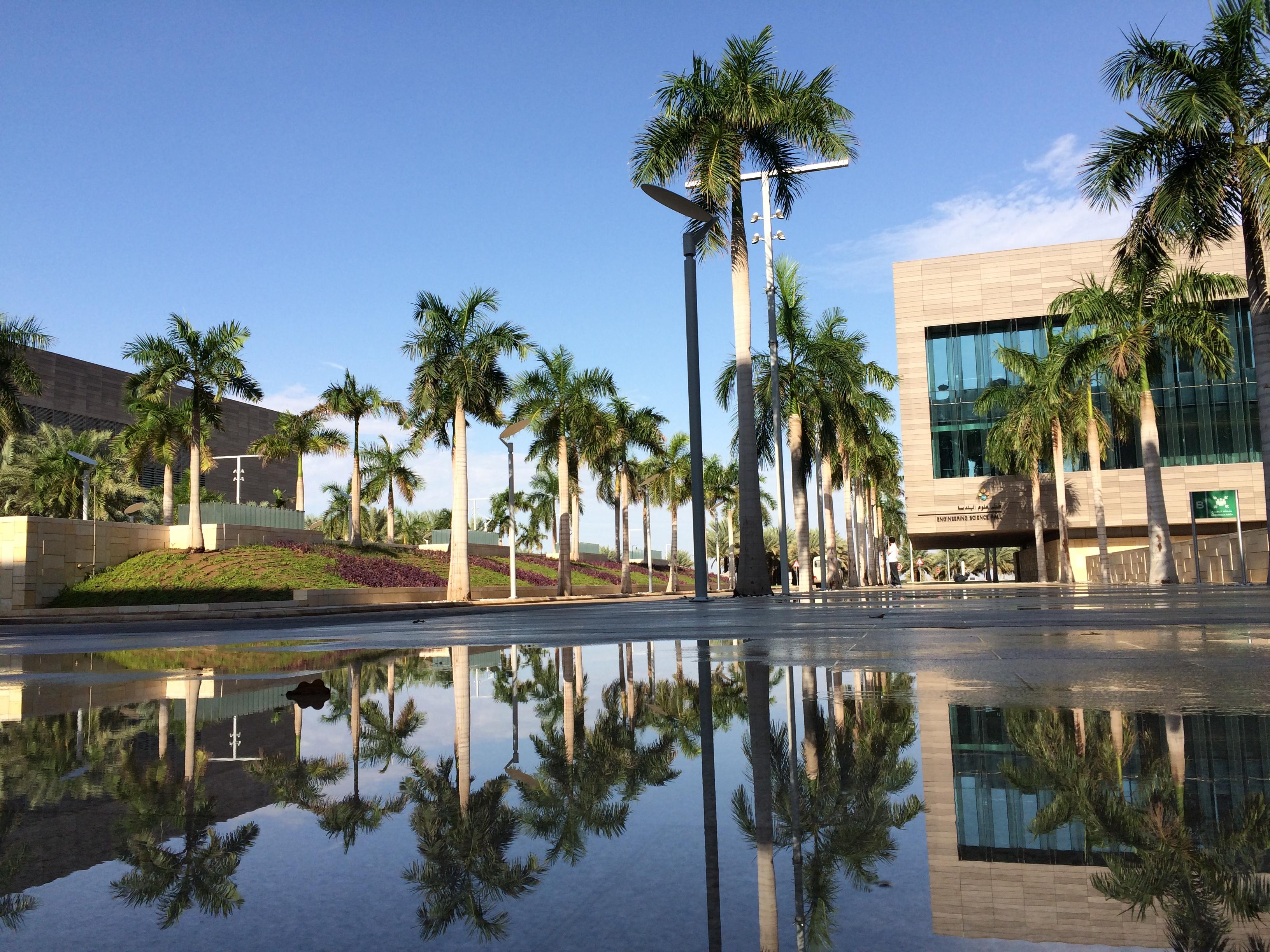 网上很红的沙特阿卜杜拉国王科技大学费用全免好申请是真实可靠的吗