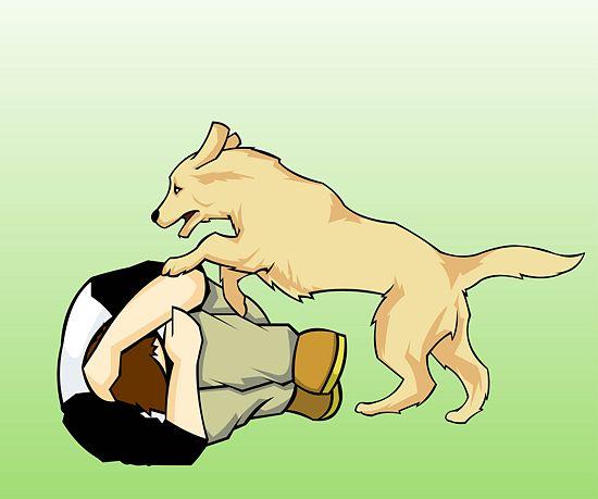 如果狗把你扑倒了,一般大型犬容易扑倒人,手抱头蜷起来.