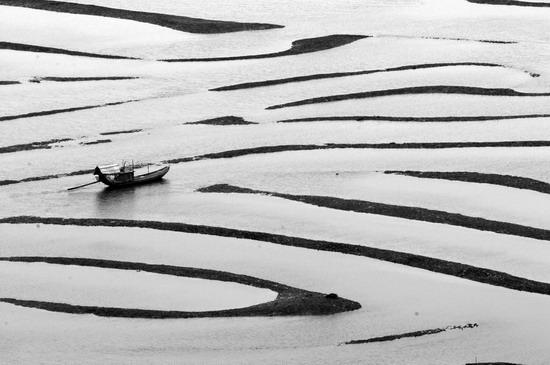 只说技术,不说构图. 3:2的画幅,应该不是手机拍的.