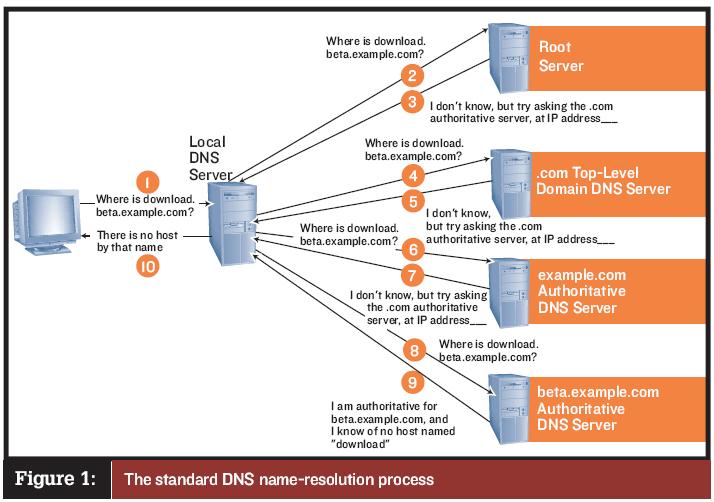 Dns search что это