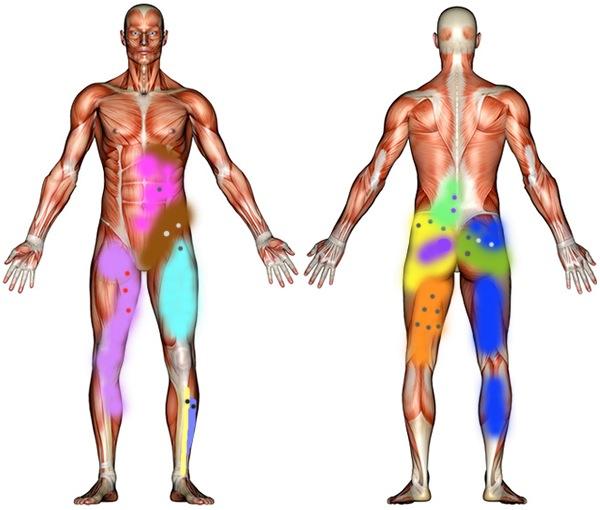 指望通过痛点按压消除疼痛,这下反而慧跑无忧 在大腿前侧股四头肌表面