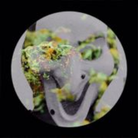 Zhihu profile picture for @shoot
