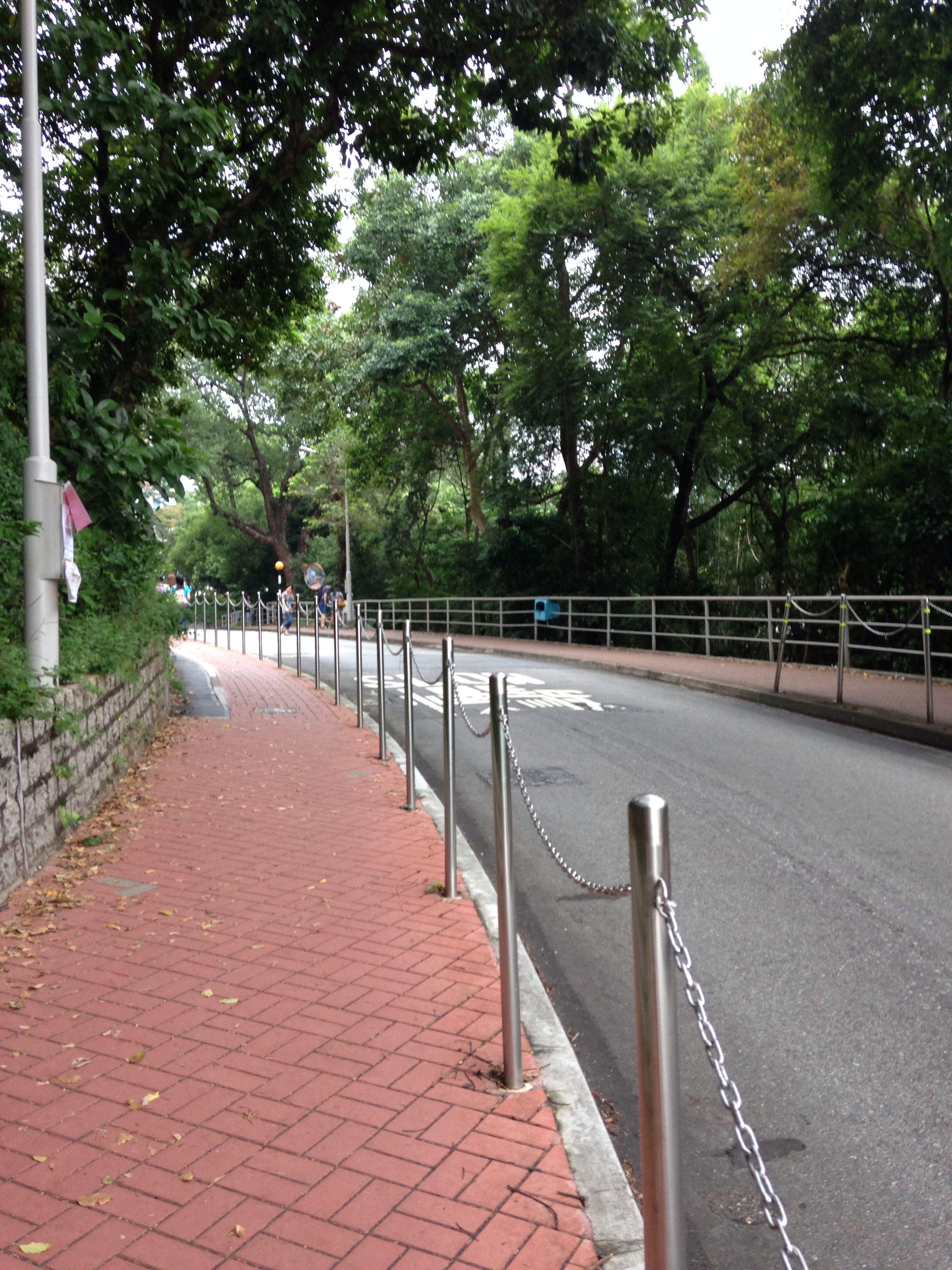 想去香港的旅游时候去香港中文大学看一看,有