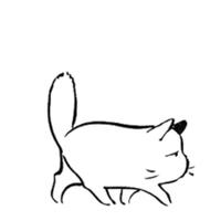 Zhihu profile picture for @bruins