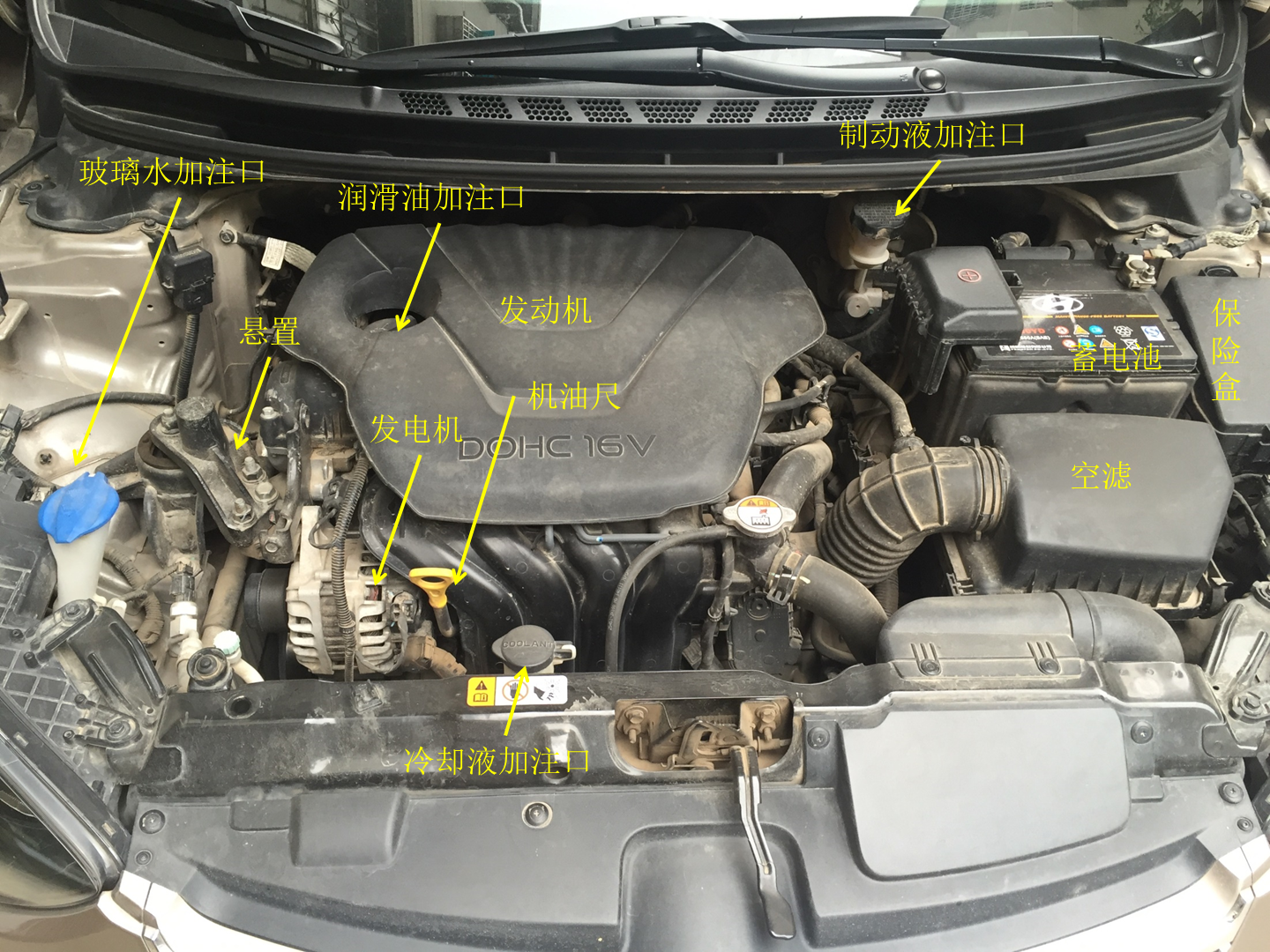 看车时把引擎盖揭开研究时可以看出哪些东西