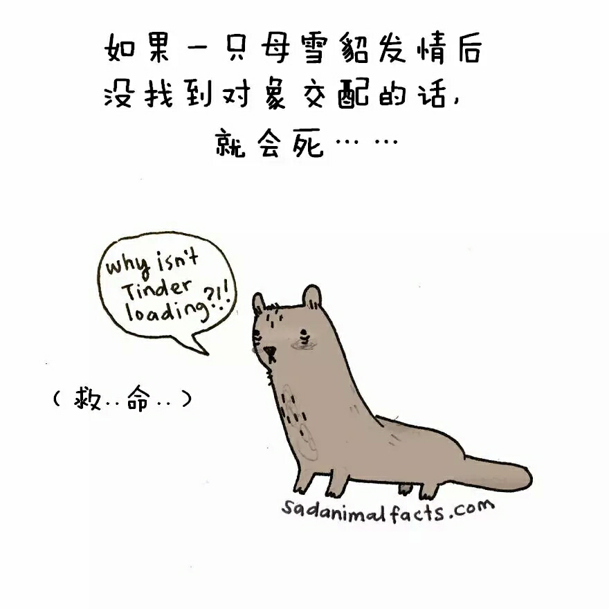 6122042fd608a2c13d9c6bfaff466ac9_r.jpg