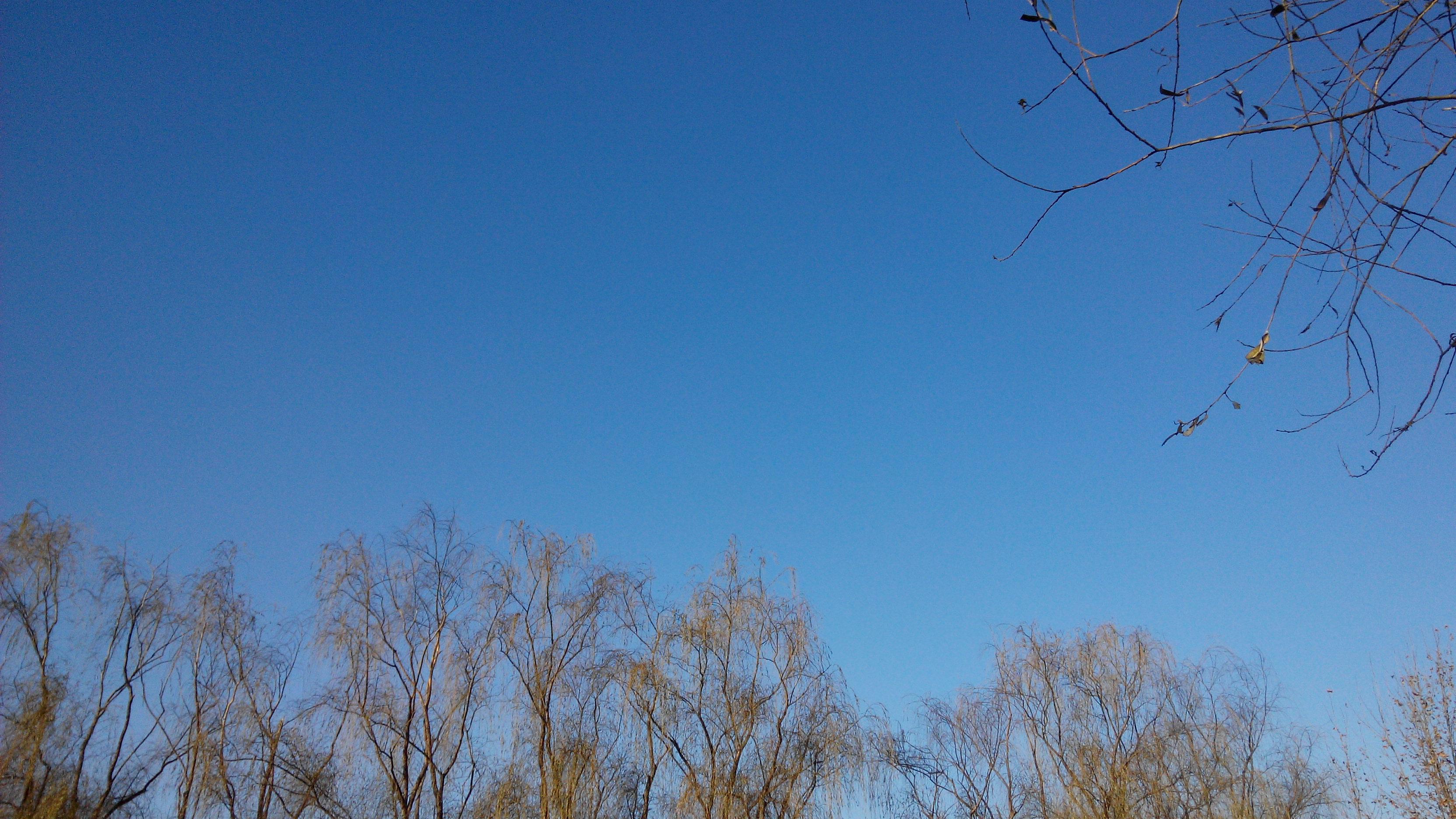 你手机里有什么好看的图片? - 叶七七的回答 -