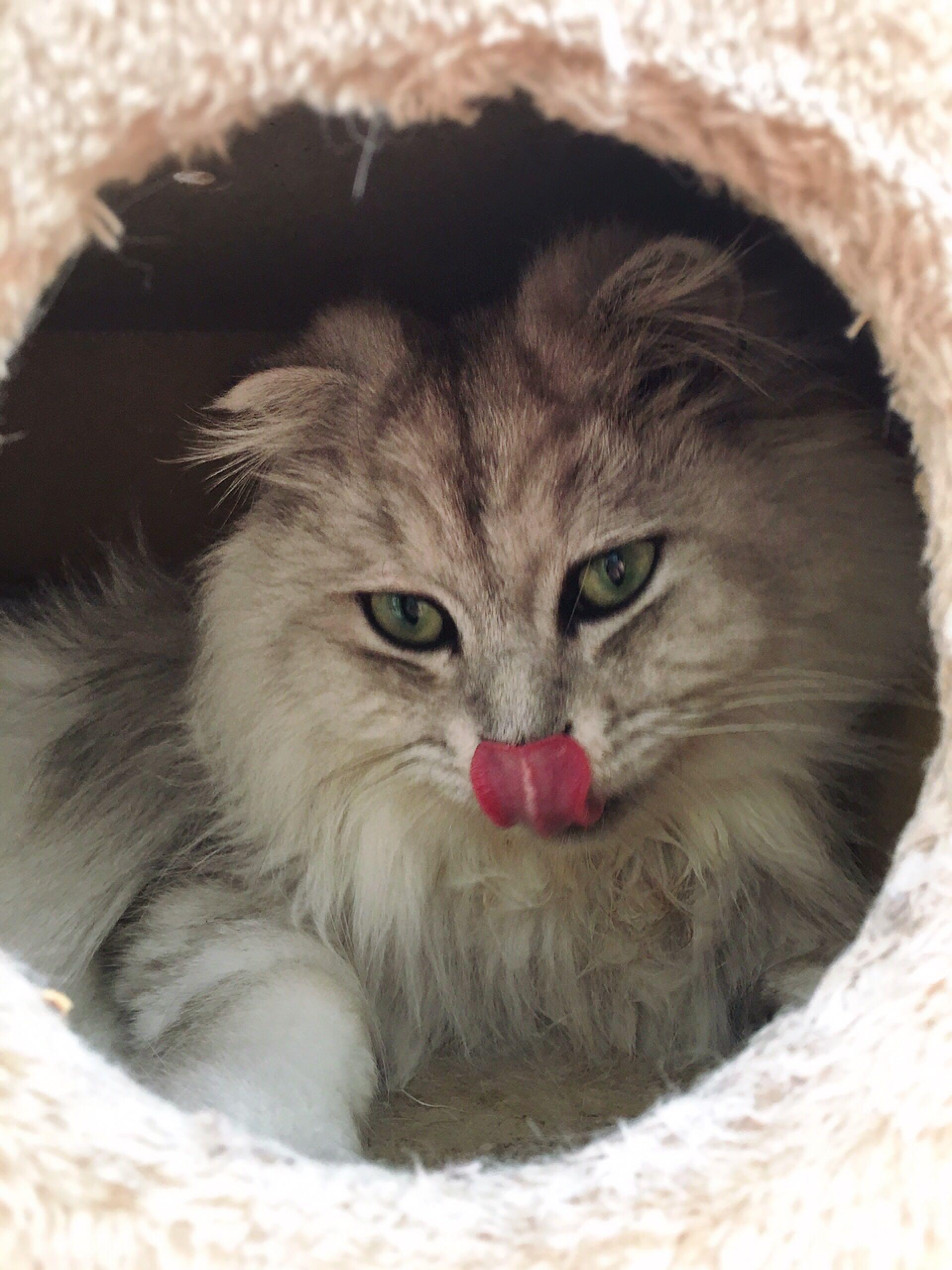 北京冬天有什么适合和闺蜜一起玩的室内景点啊