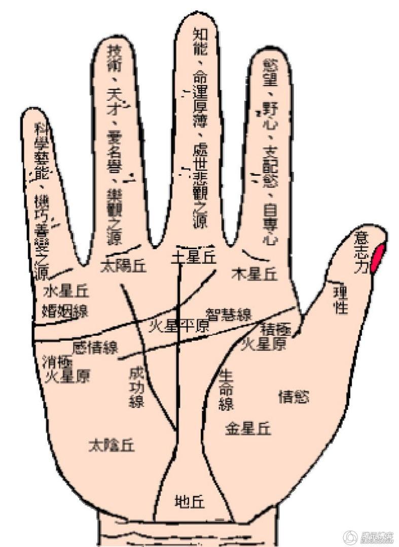 手相有旅行线的人出门不是遇贵人就是结良缘 知乎 手相有旅行线的人出门不是遇贵人就是结良缘 知乎