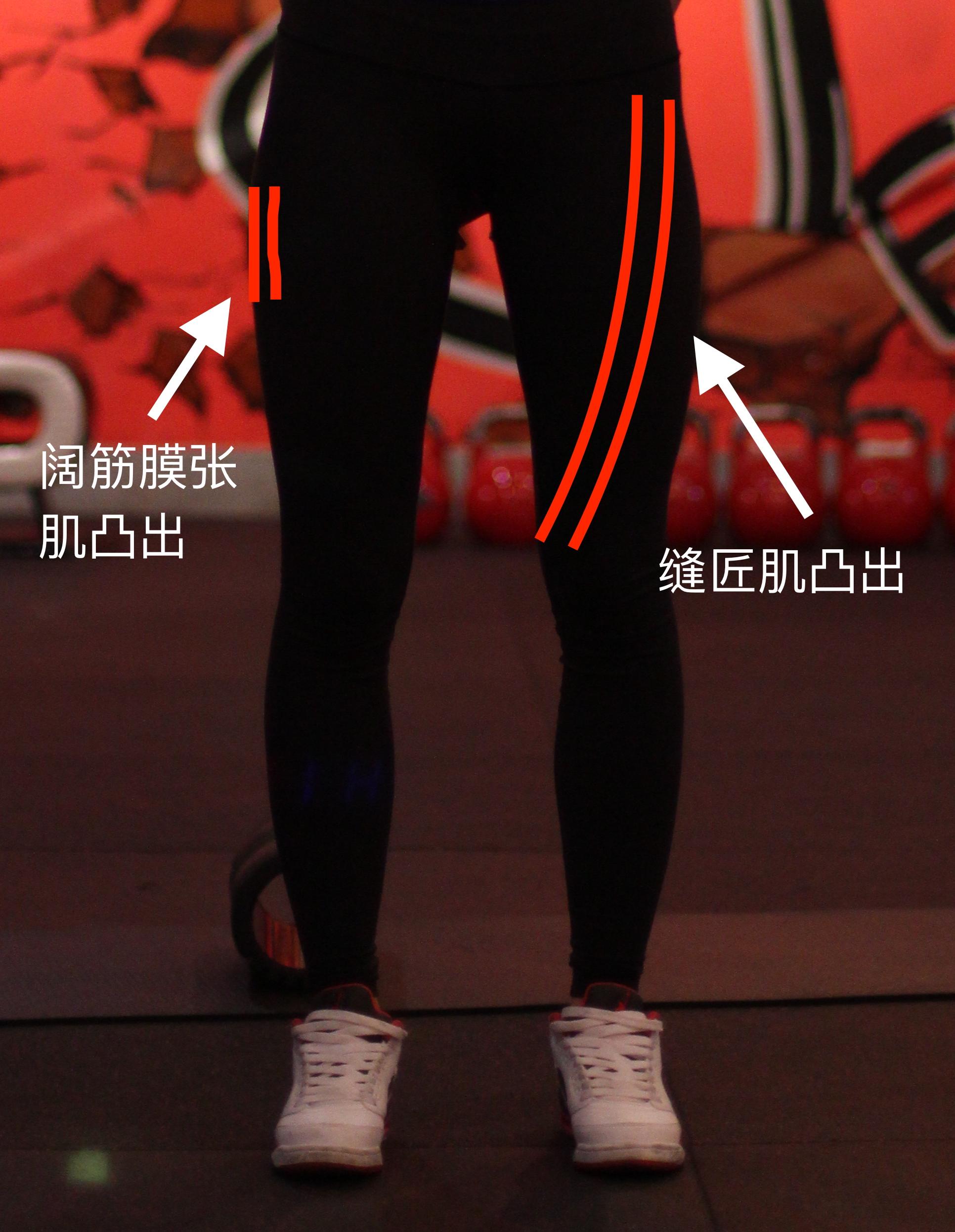 大腿前侧的肌肉过于发达怎么办? - 知乎