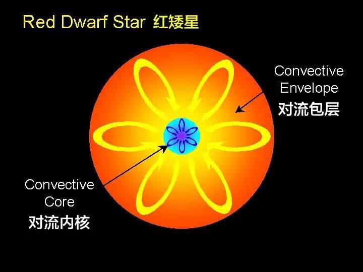 红巨星和白矮星的究竟是如何形成的