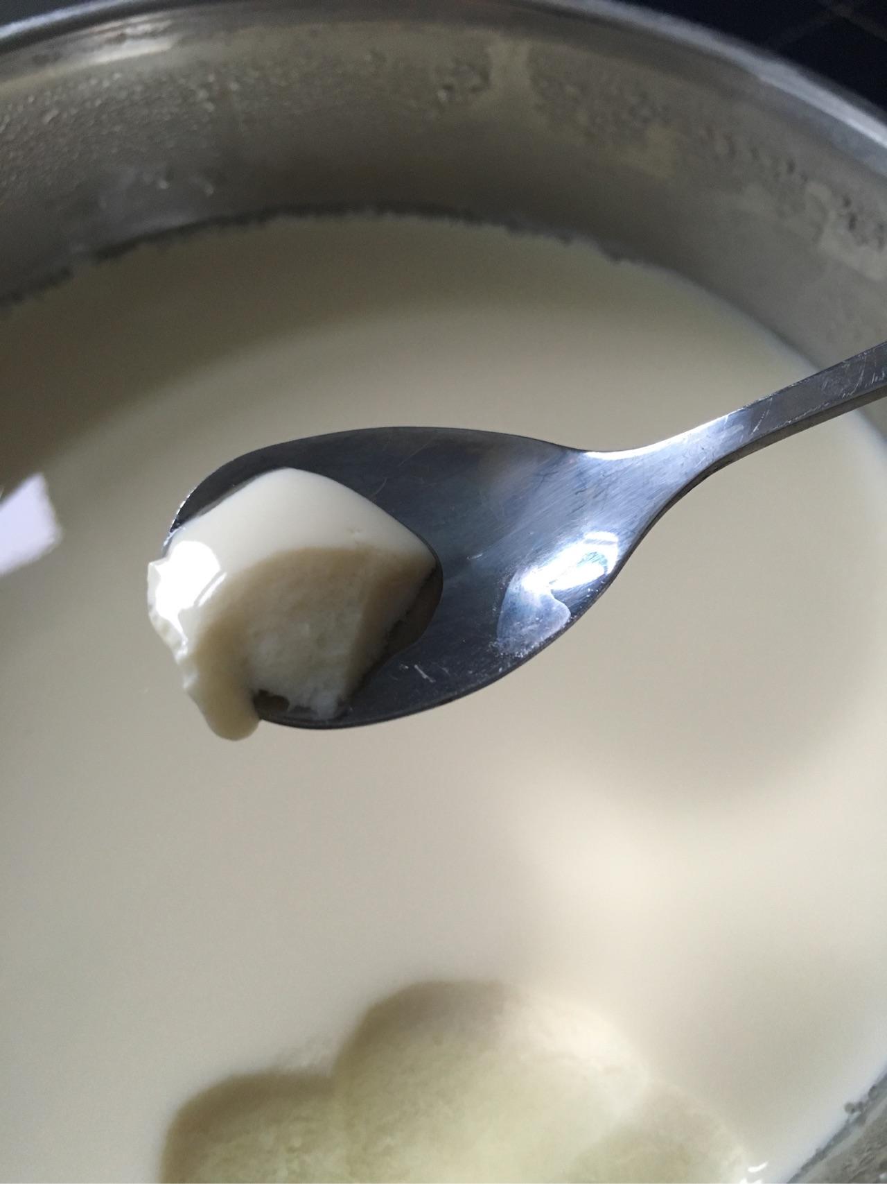 豆漿可以像牛奶一樣用乳酸菌發酵嗎?有相關試驗或產品嗎?