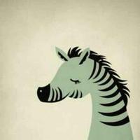 Zhihu profile picture for @solidarity