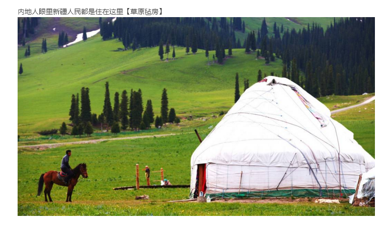 如果有人问你在新疆都是骑马去上学,高考科目