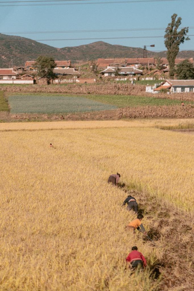 我去了朝鲜在朝鲜70周年建党节前夕