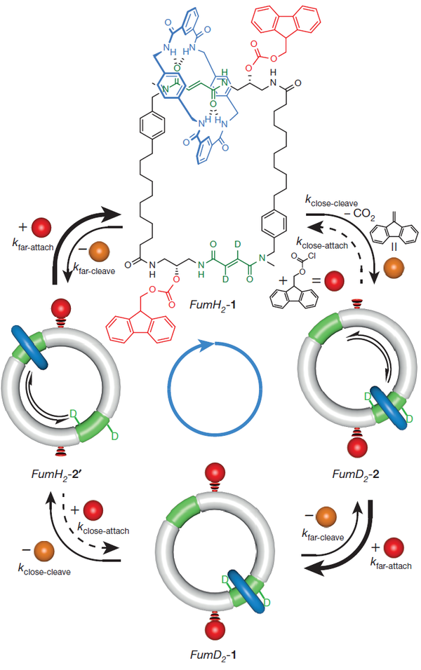 化学能驱动的自动分子马达