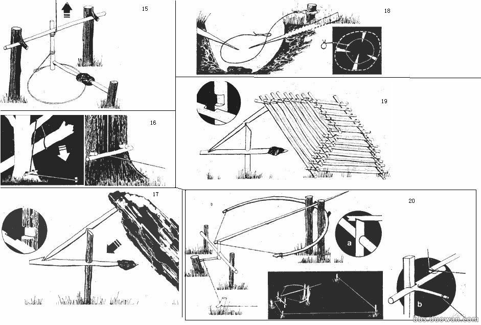 贝爷用过的各种捕食陷阱的制作方法? - 知乎