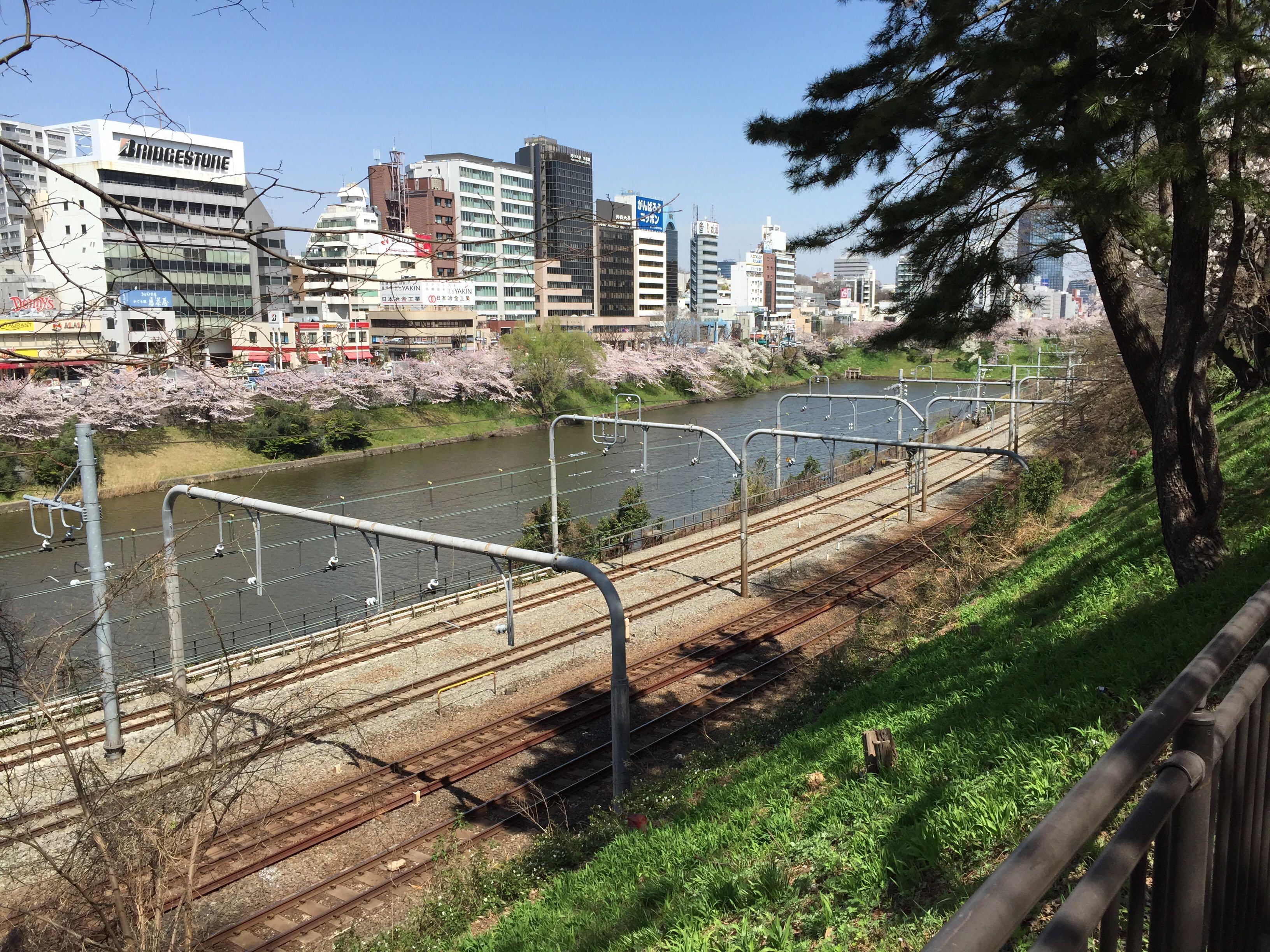 日本法政大学怎么样?