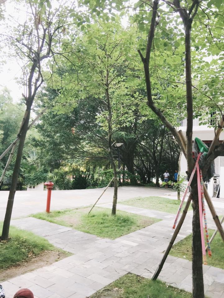 在深圳市南山实验麒麟中学就读是怎样一种体验