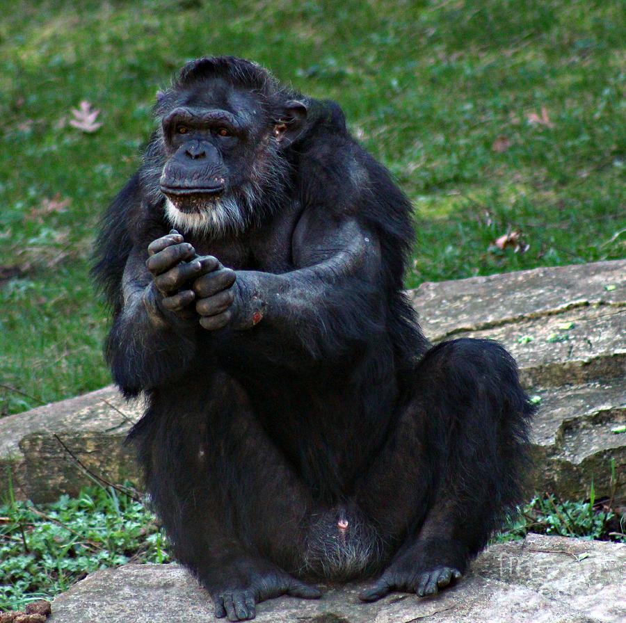鼓掌是什么人发明的起源自哪个国家中国什么时候开始用鼓掌表示鼓励的