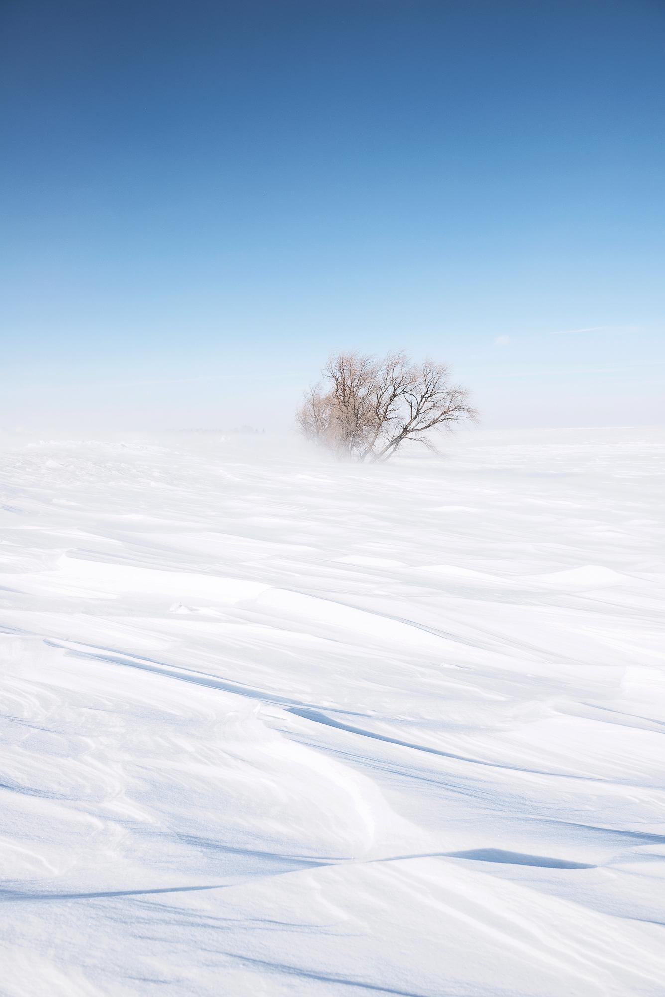 业余摄影师如何通过像 getty images 这样的图库赚钱?