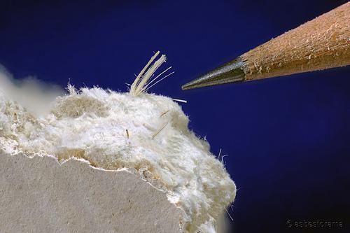 去年佩斯的在建儿童医院建材发现石棉,使得上千人遭到了石棉暴露的