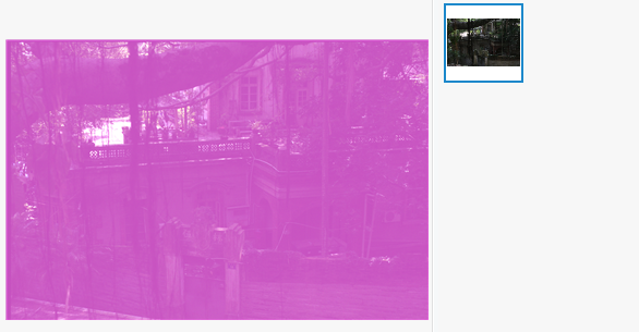 佳能750D的RAW图片打开或转换会出现紫色?