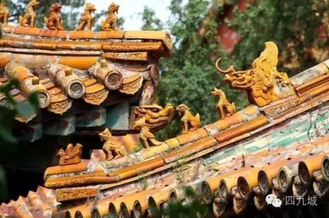 您曾经“五脊六兽”过吗？