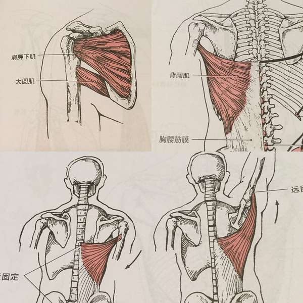 知乎日报