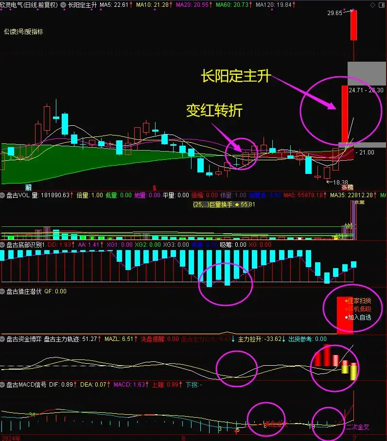放量涨停反包 大阳线反弹预警 可选股 通达信经典主图