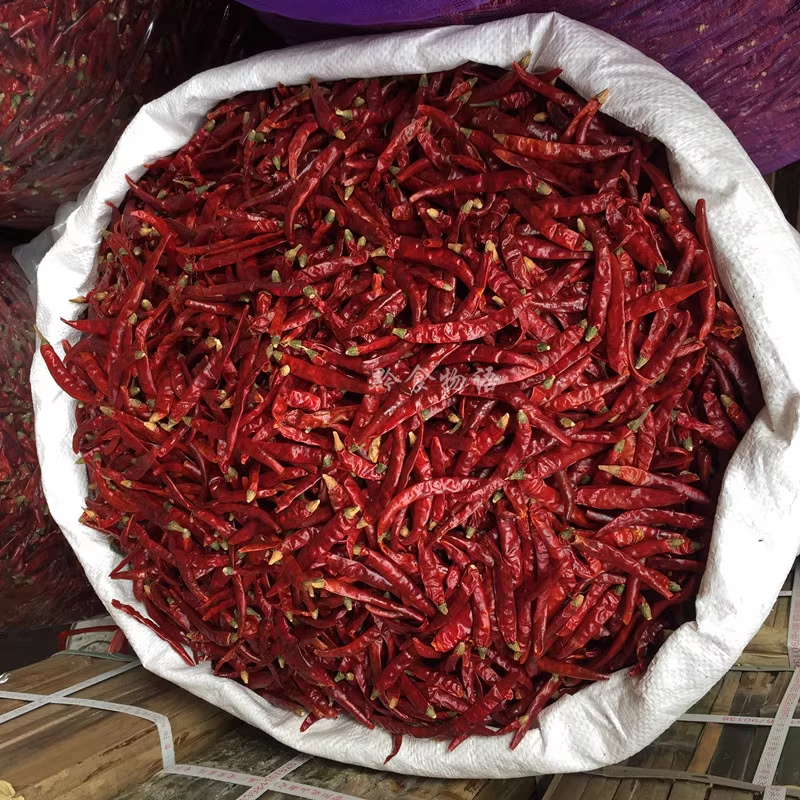 进口缅甸/印度干辣椒，进口商关心的事情是什么？