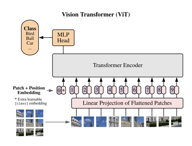 轻松理解ViT(Vision Transformer)原理及源码