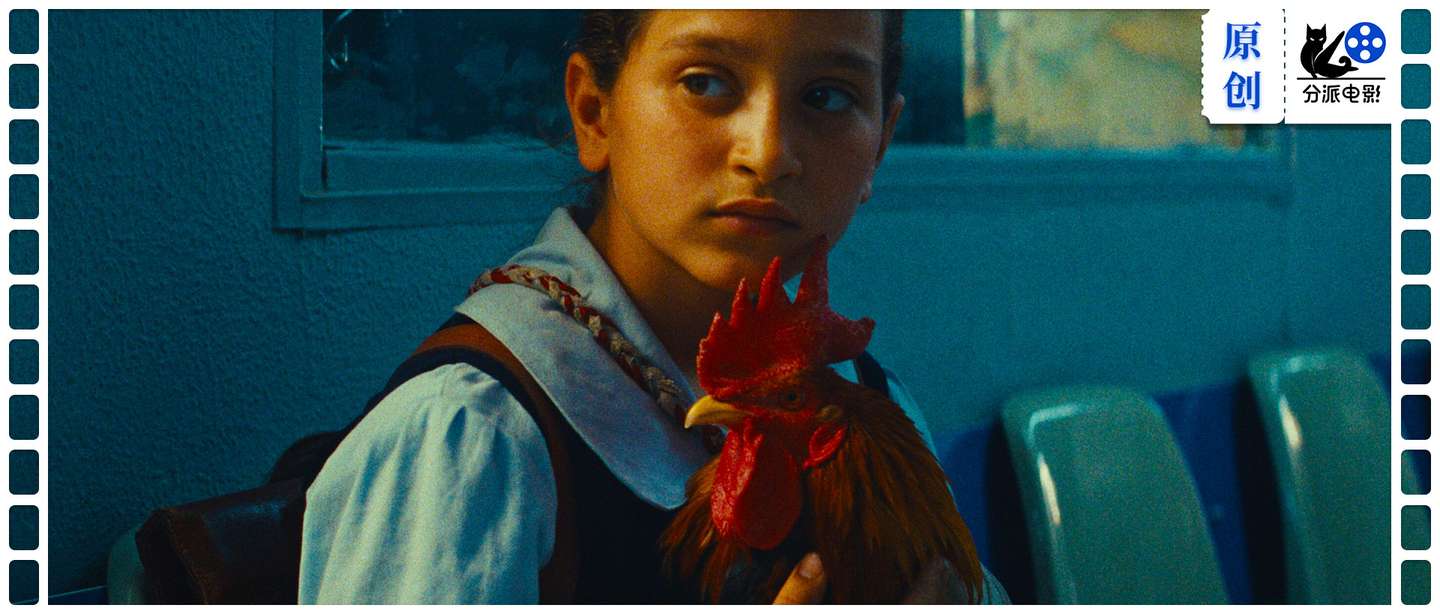 这部冷门佳片，《总统的蛋糕》烂番茄新鲜度99%