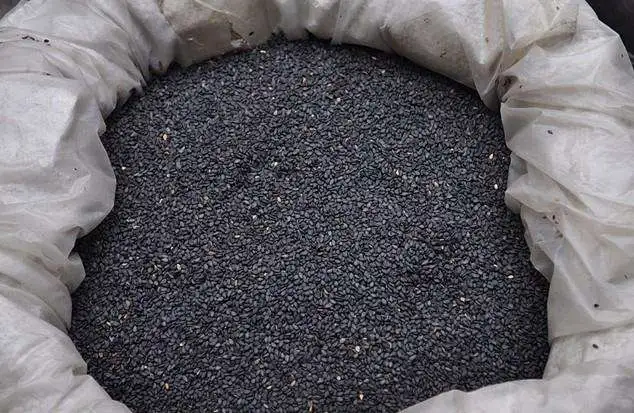 进口芝麻报关清关代理手续资料流程及注意事项