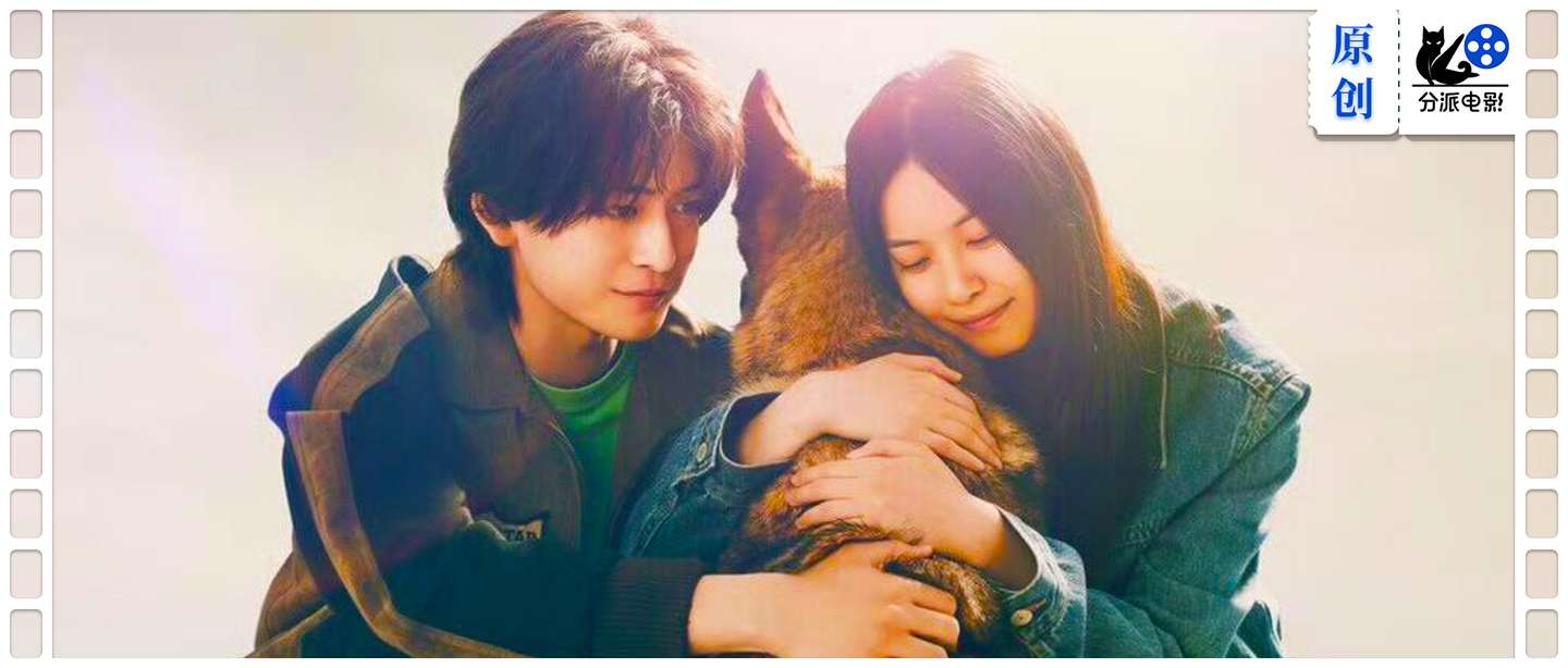 《少年与犬》好厉害！狗狗电影竟然拍出了苦难人间