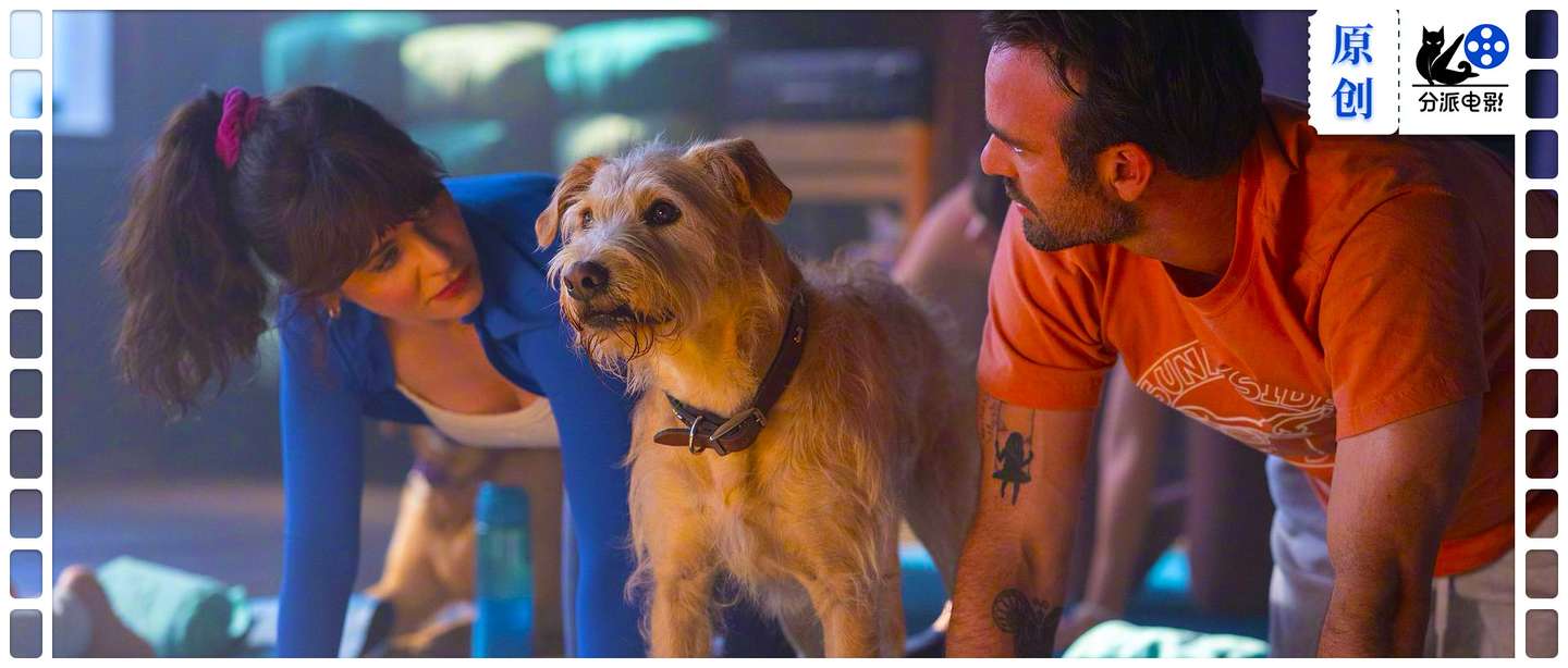 《爱犬莫福》“夜魔侠”变身暖男，携宠攻略前任