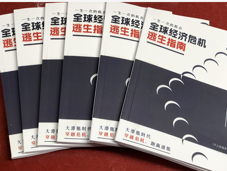《全球经济危机逃生指南白皮书》A森为你指导度过寒冬，全球经济危机逃生指南白皮书PDF版电子书资料下载在线阅读