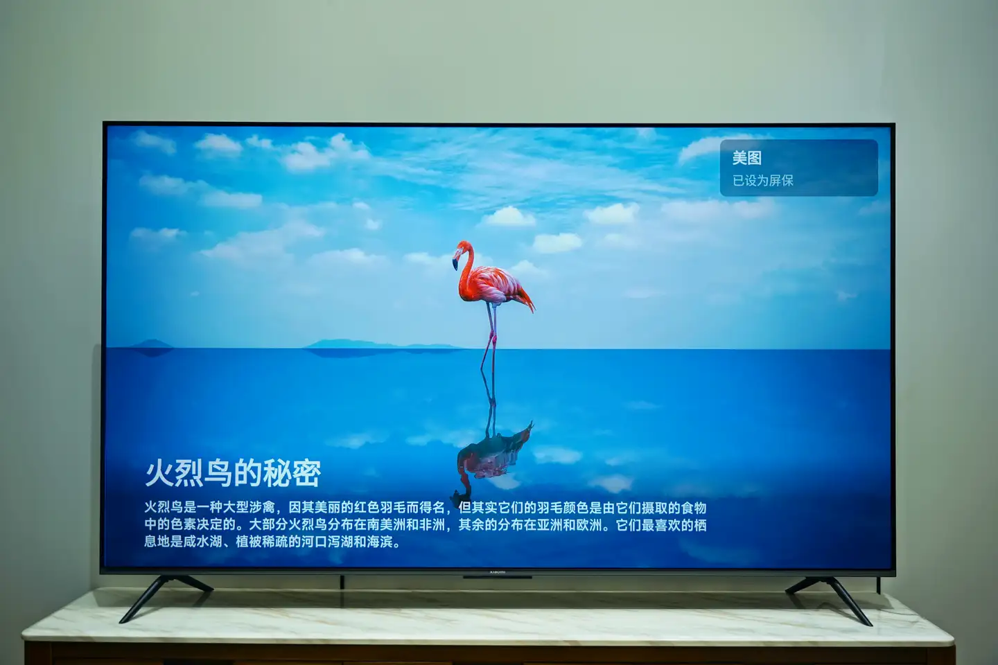 颠覆Mini LED电视价格，小米S Pro测评