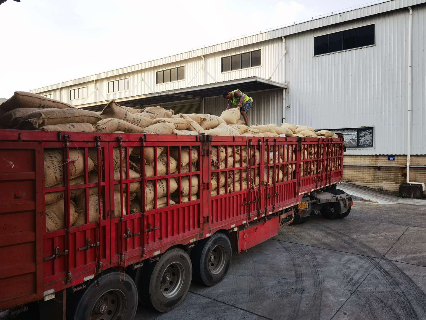 【食品进口】咖啡豆进口如何顺利通关？