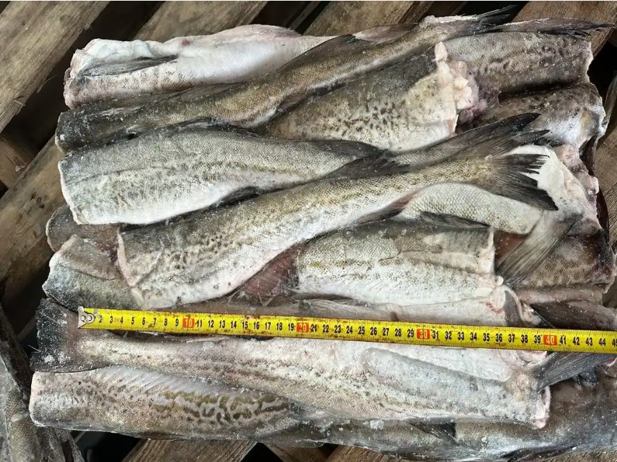 俄罗斯狭鳕鱼进口报关资料流程及标签内容要求