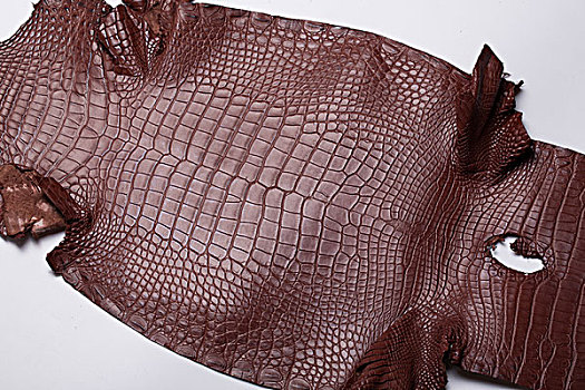 【皮料进口】鳄鱼皮如何顺利进口通关呢？