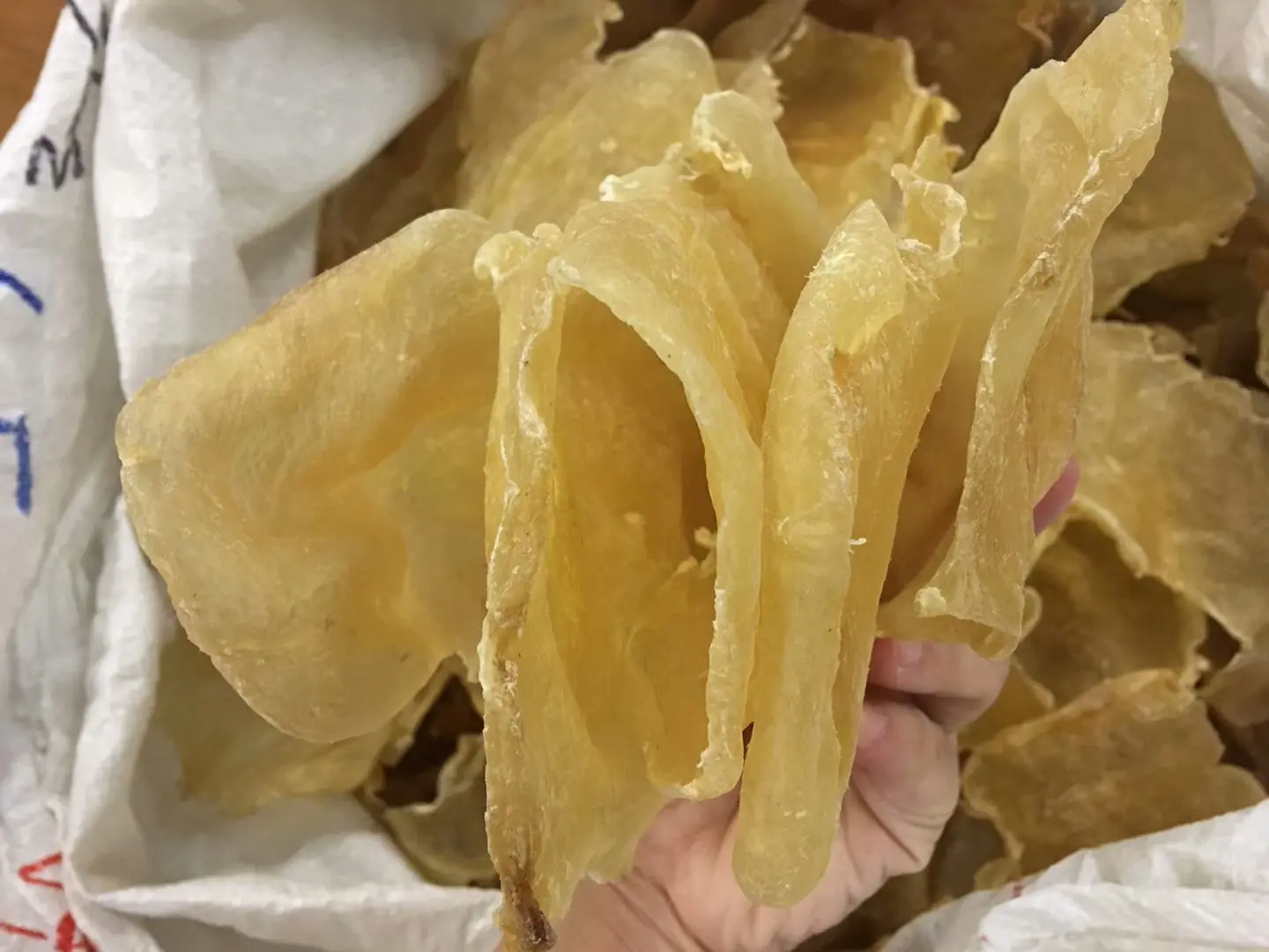 干花胶(鱼胶)进口报关清关相关流程及所需资料