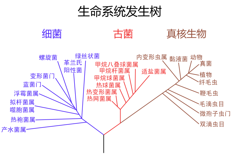 生物分类学的发展状况如何? - 知乎