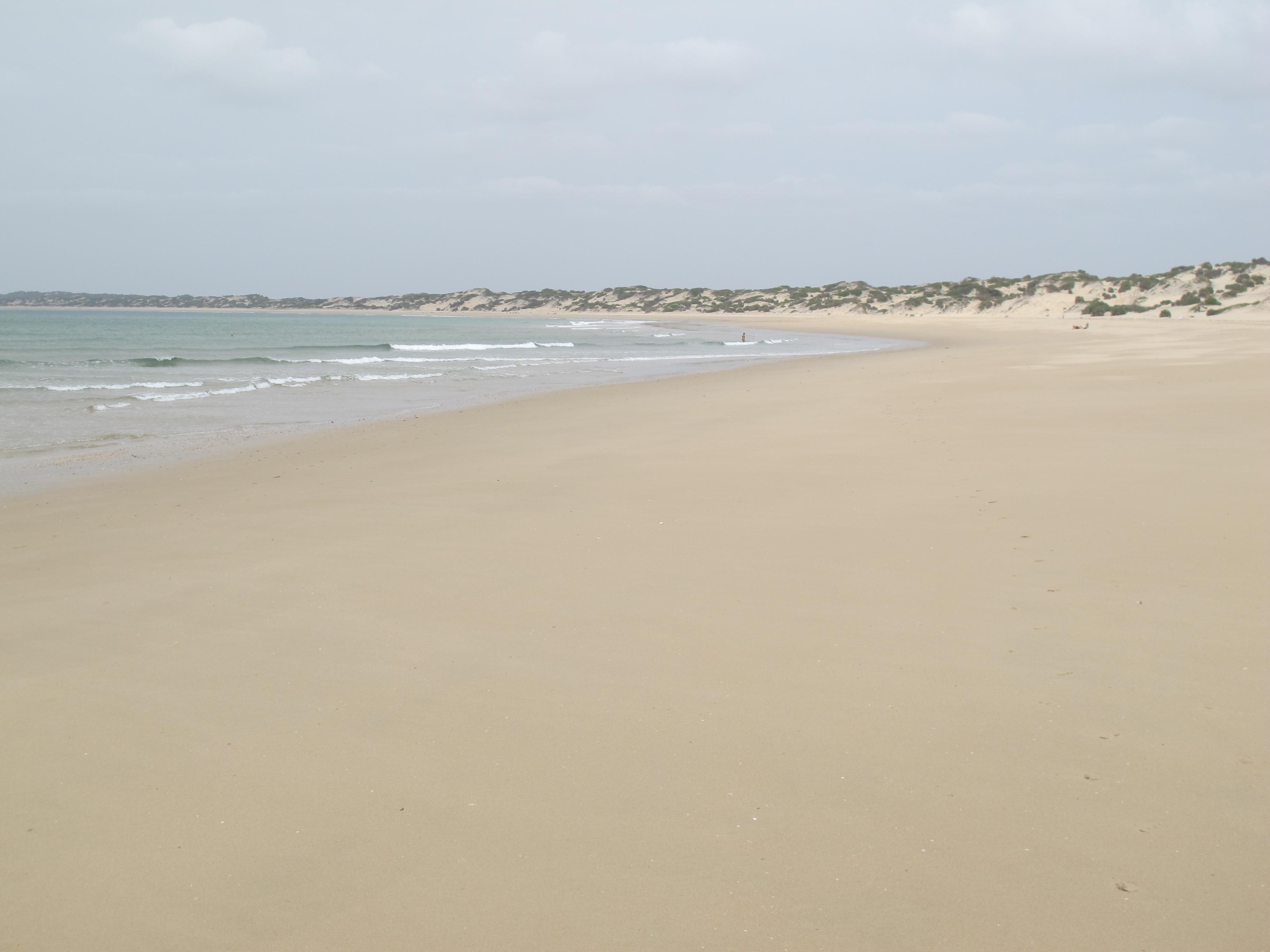 到非洲旅行带 8 岁小朋友同行有哪些需要注意的事项?