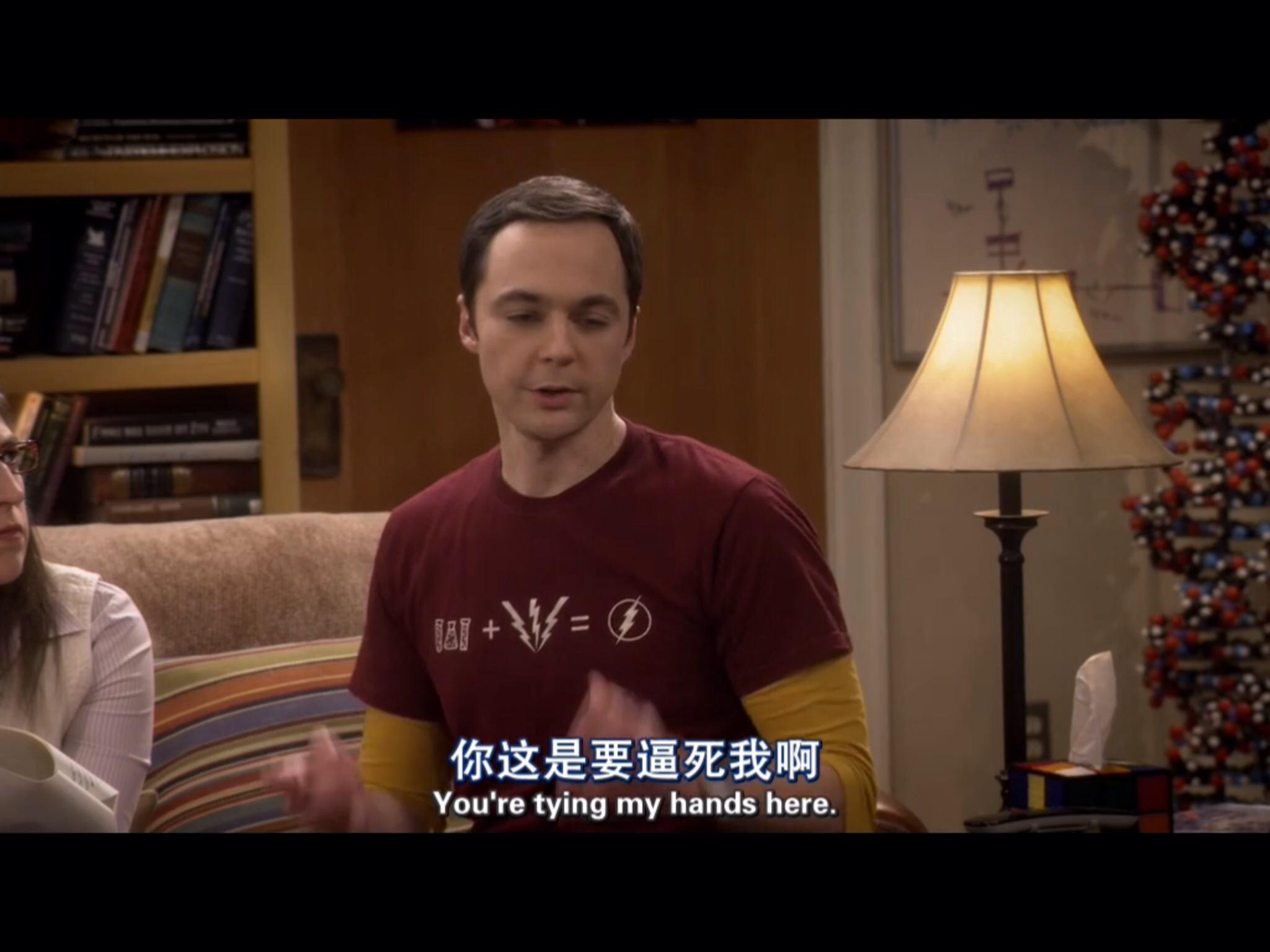 为什么有点心疼《生活大爆炸》第九季里的she