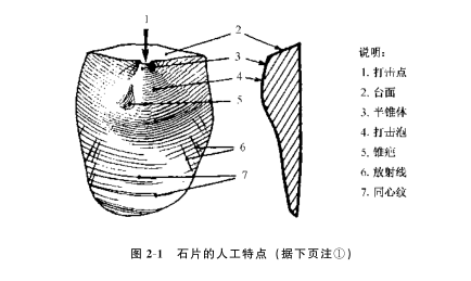 如何在土层中辨认古人类打制石器?